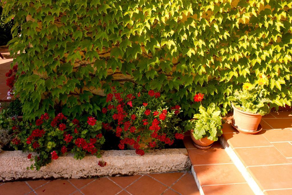 Casa Del Falso Pepe - Scala Dei Turchi 雷阿尔蒙特 外观 照片